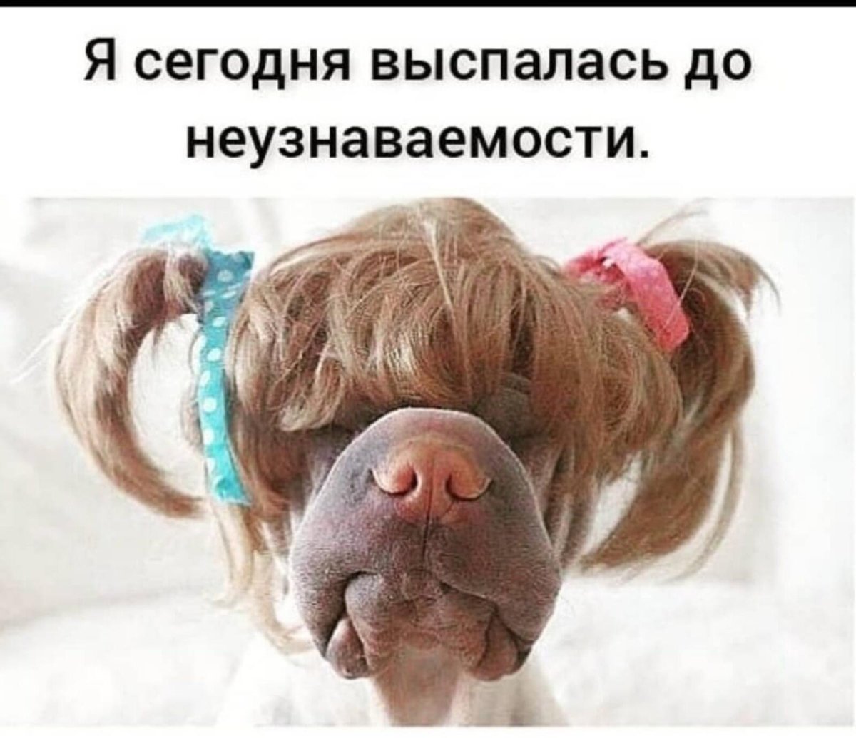 Завтра понедельник и снова