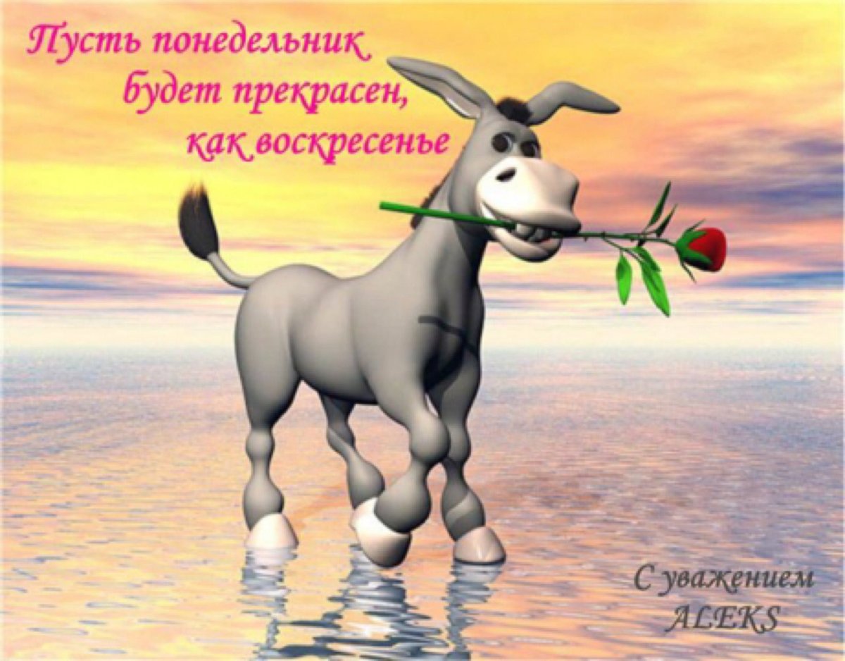 Открытки с добрым утром прикольные