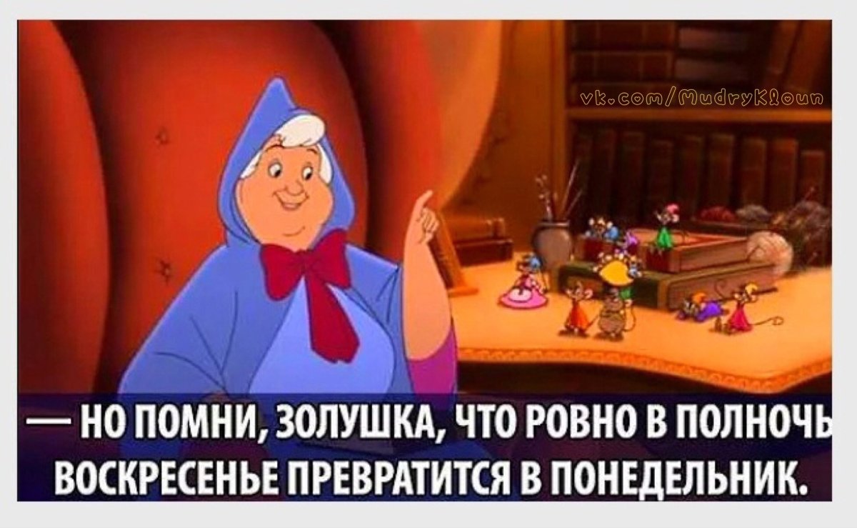 Афоризмы на каждый день прикольные