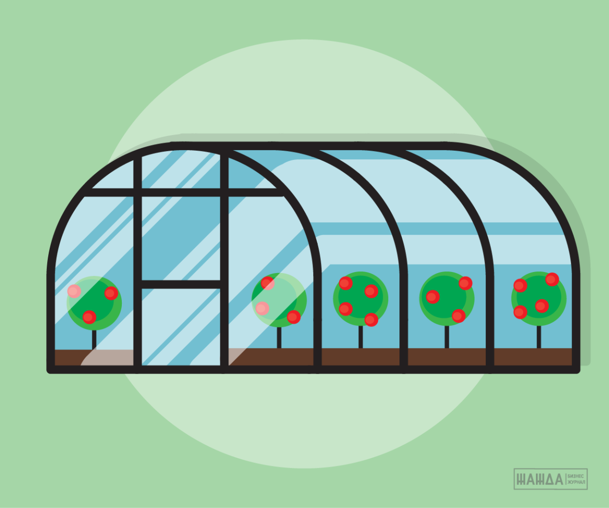 Парник для детей