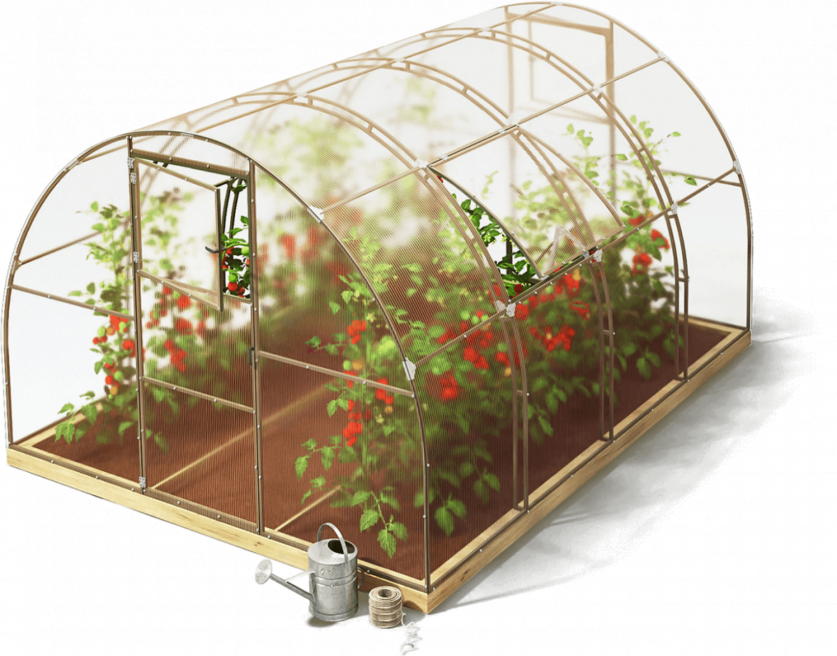 Теплица Кремлевская цинк