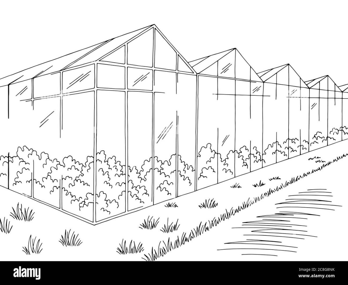 Теплица раскраска для детей