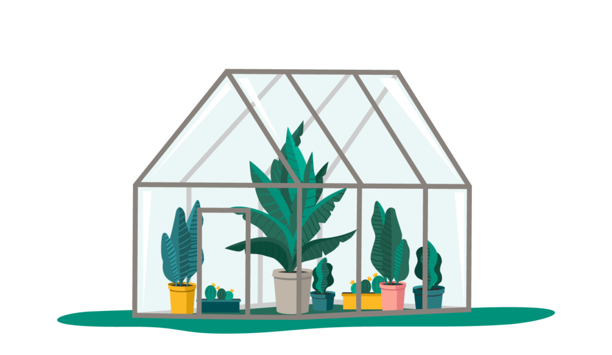 Теплица рисунок