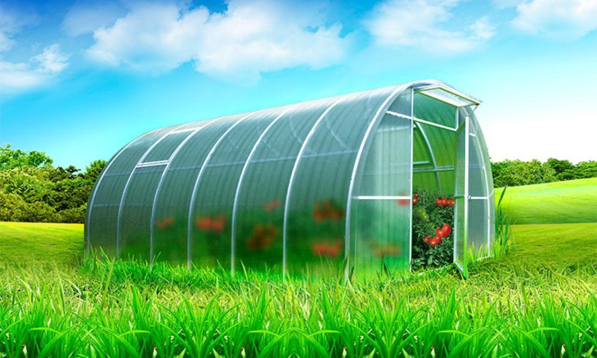 Теплица Агросфера стандарт 6 метров с поликарбонатом