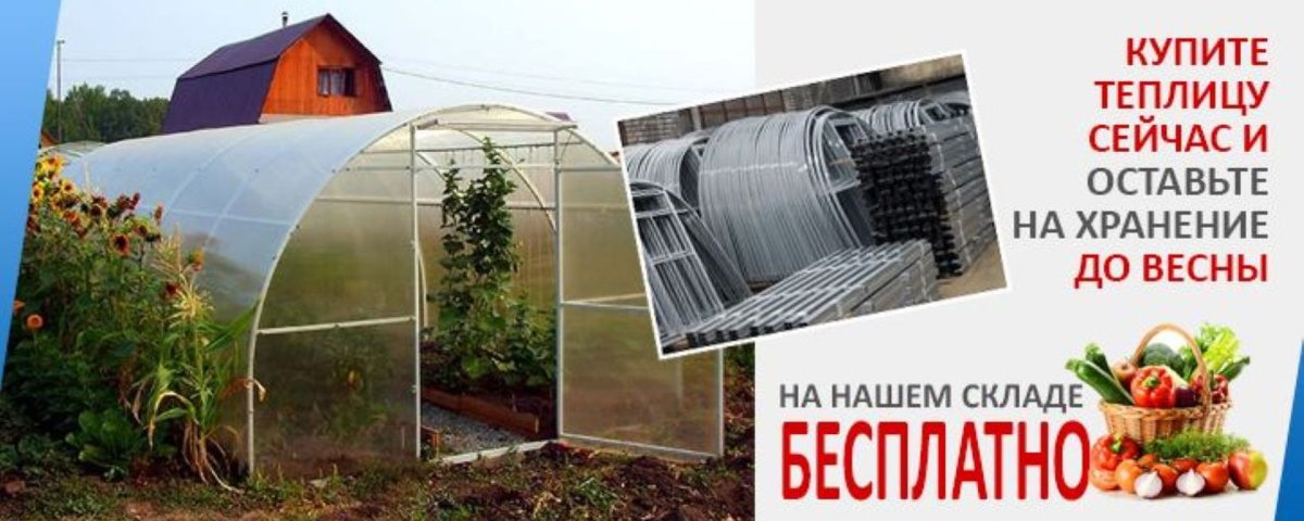 Оранжерея иллюстрация