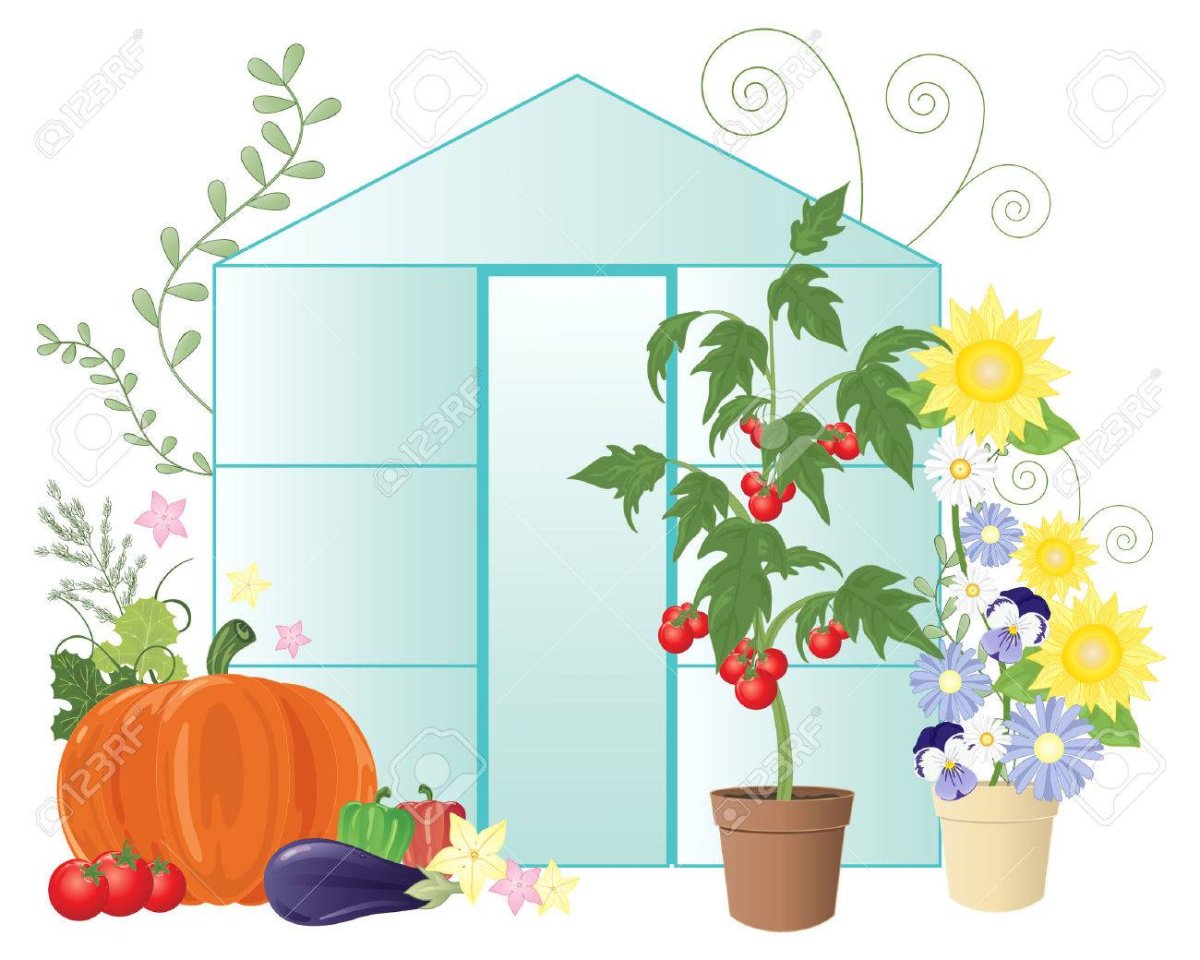 Теплица с овощами вектор