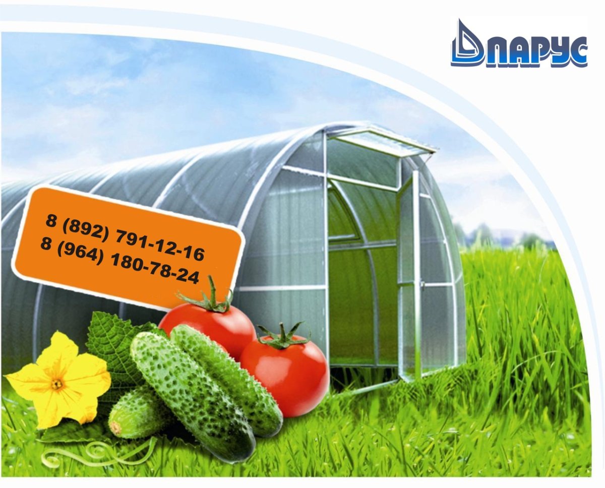 Теплица премиум 3х6х2.1 м