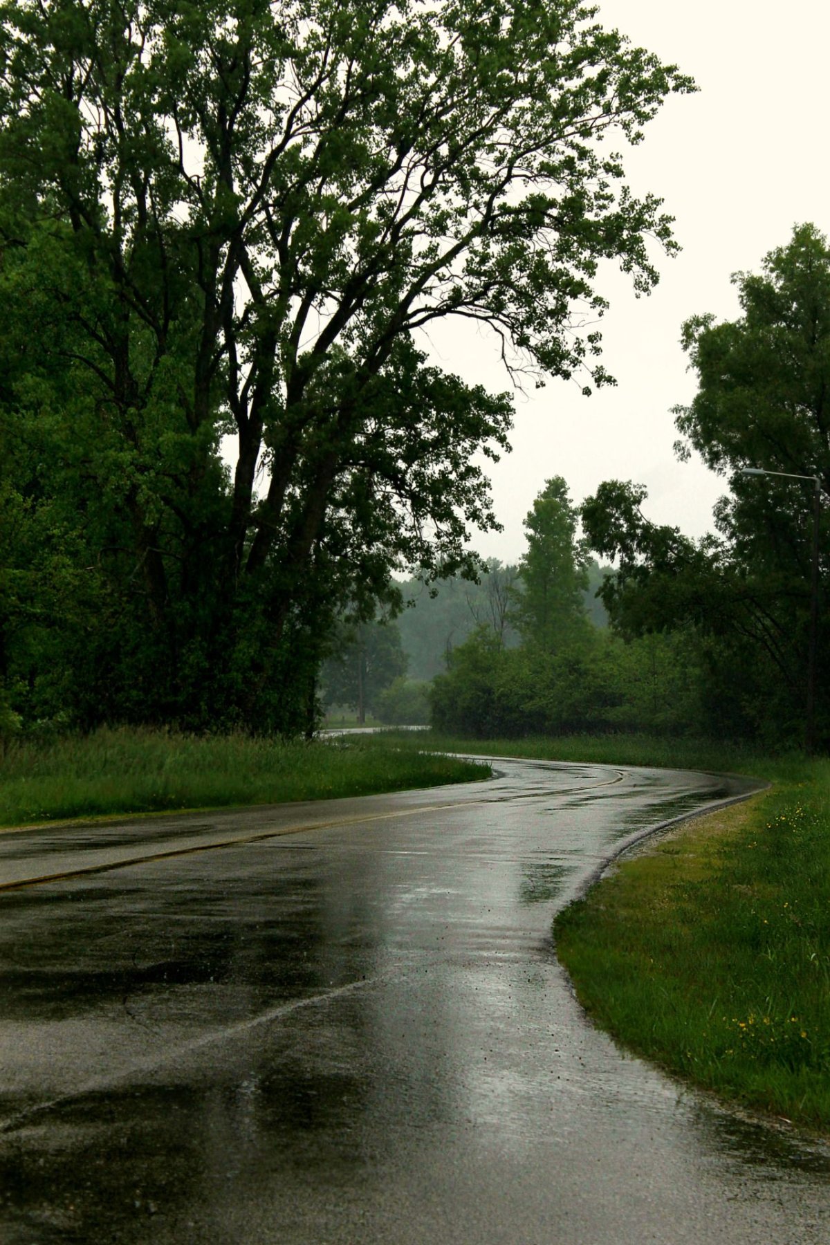 Природа дождь