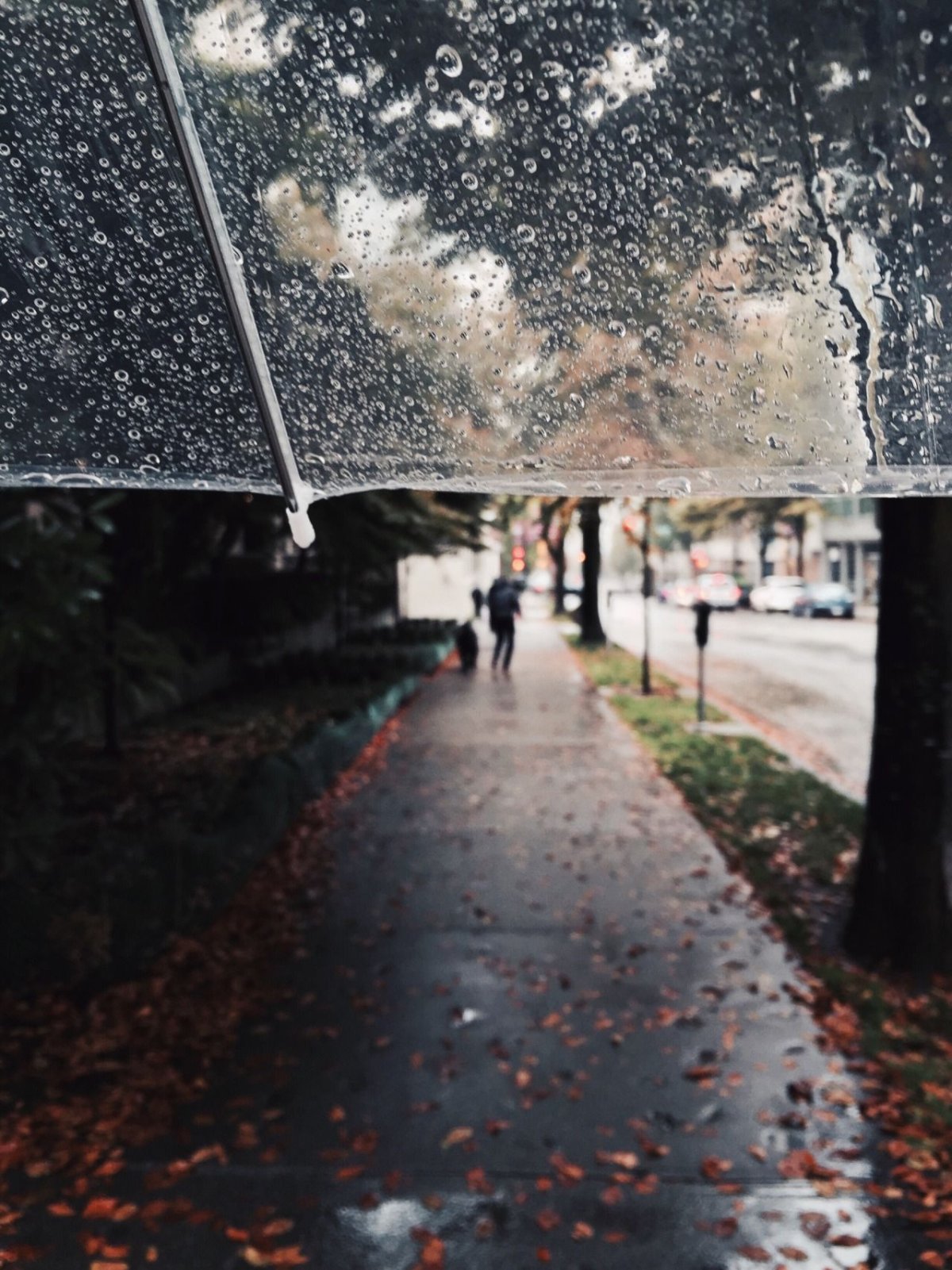 Пасмурный дождливый день