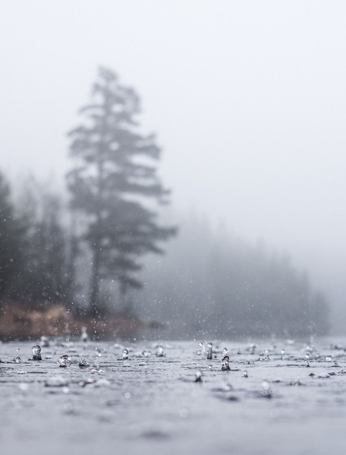 Дождь пасмурно