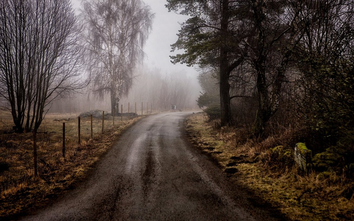 Серая осень