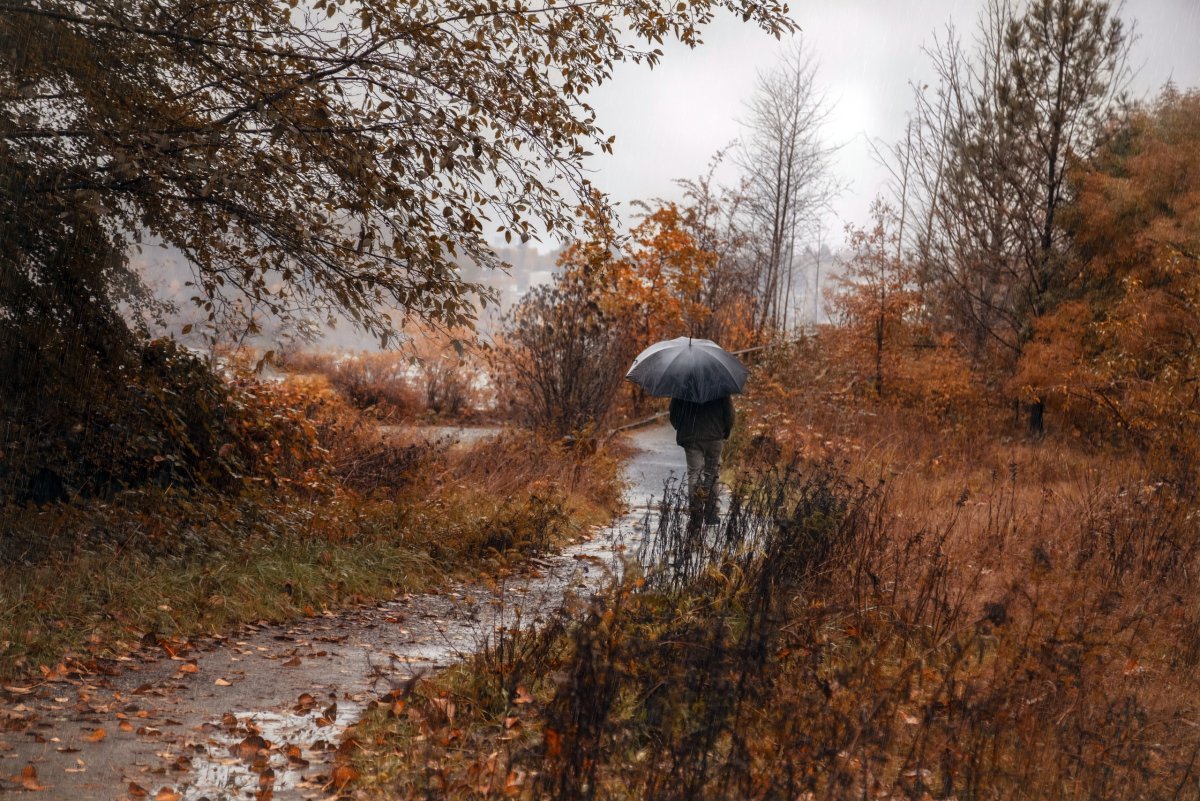 Дождливая осень