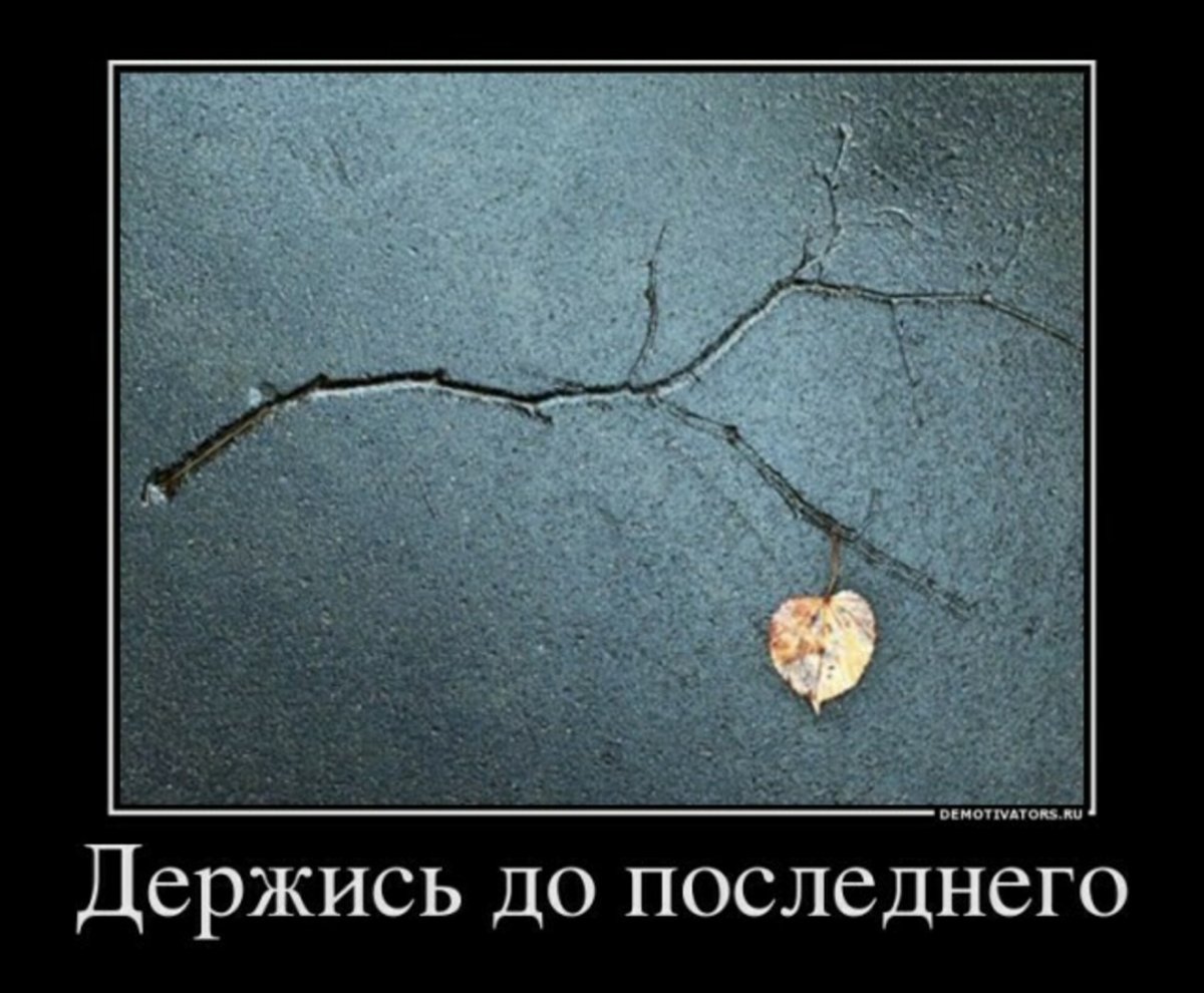 Демотиватор держись