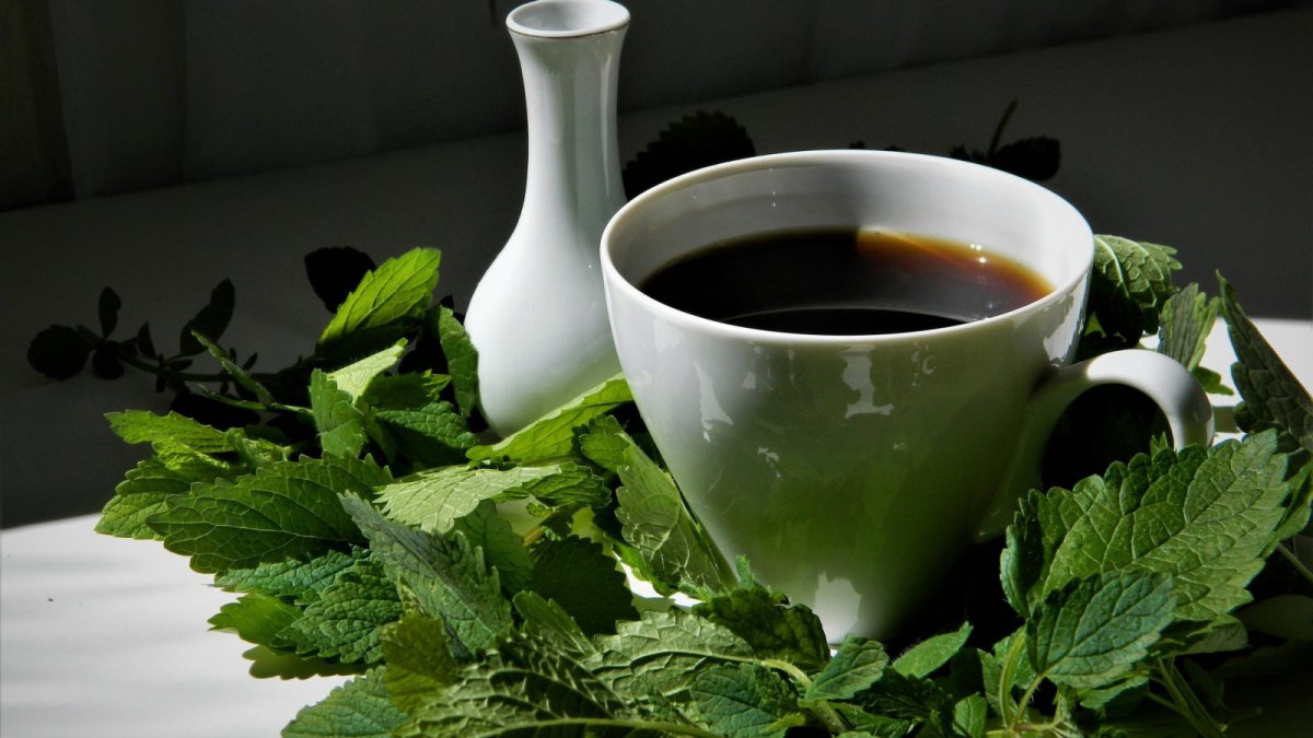 Чай с мятой