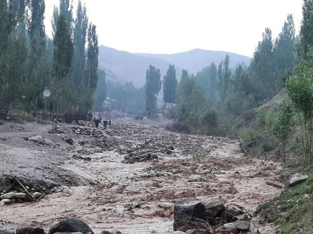 Сель картинка для детей