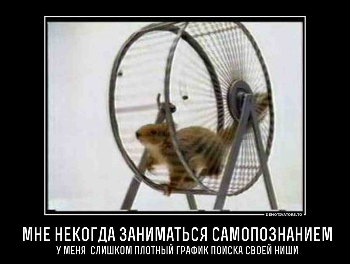 Жизнь как белка в колесе