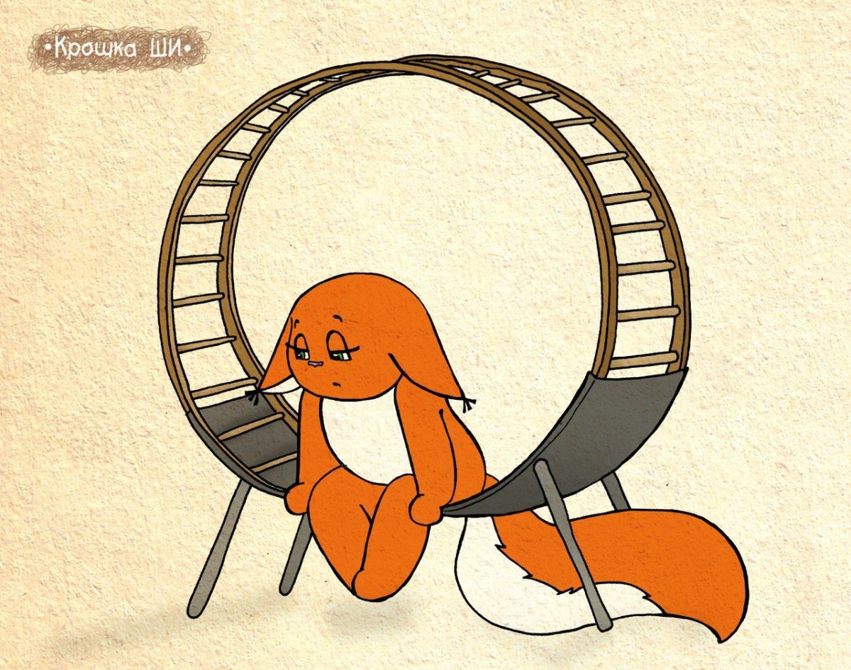 Белка в колесе