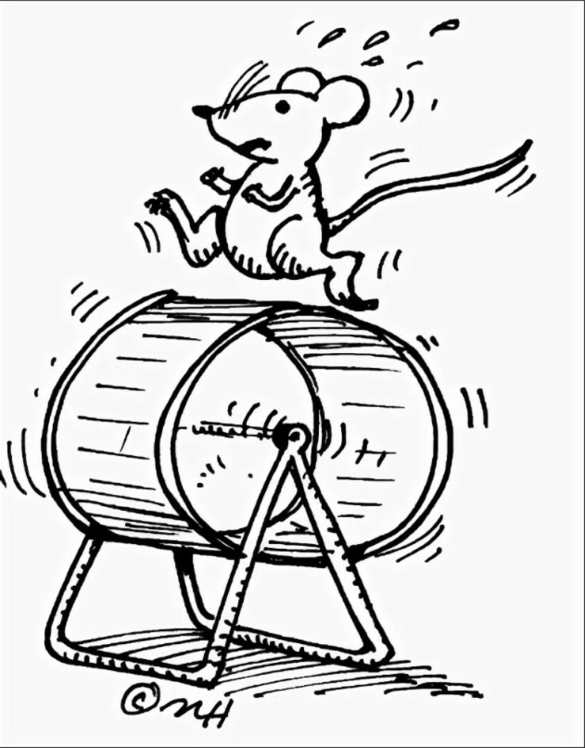 Крыса в колесе