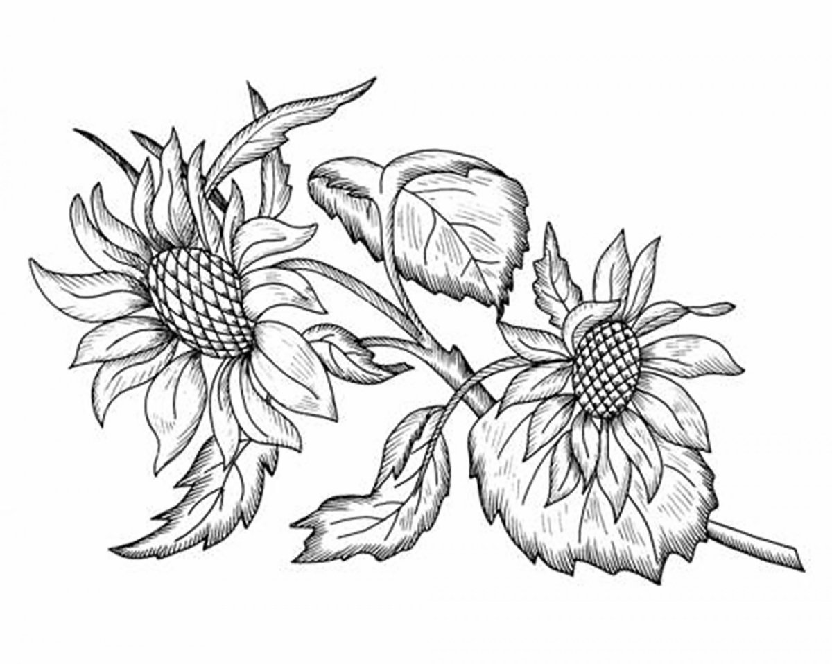 Рисунки подсолнухов для вышивки гладью