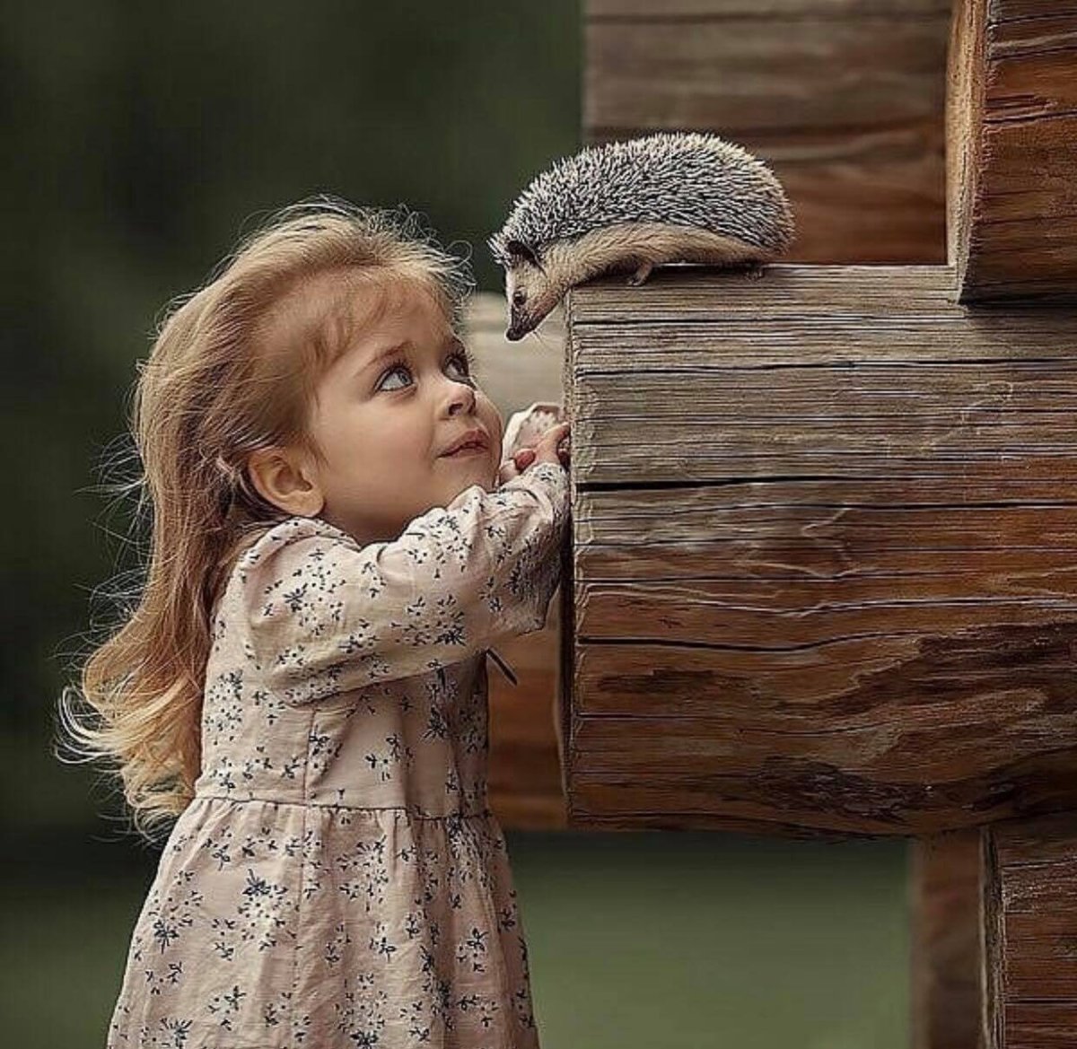 Доброта картинки