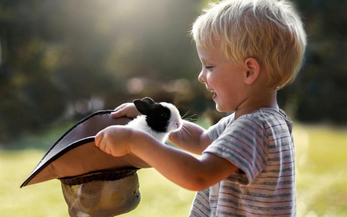 Дети и животные доброта