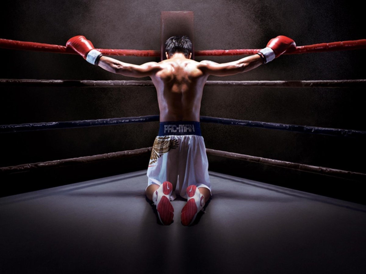 Боксер на аву