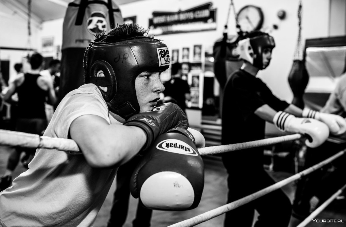 Боксер спорт