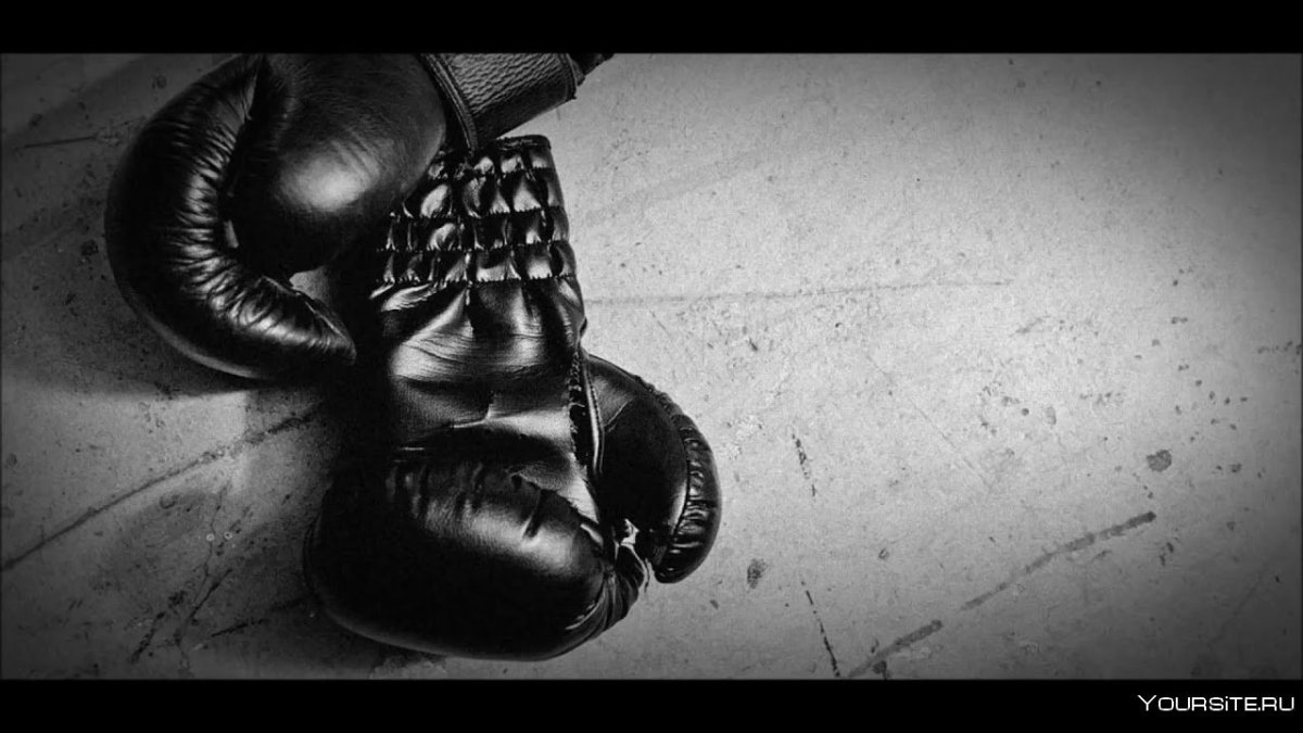 Боксер на белом фоне