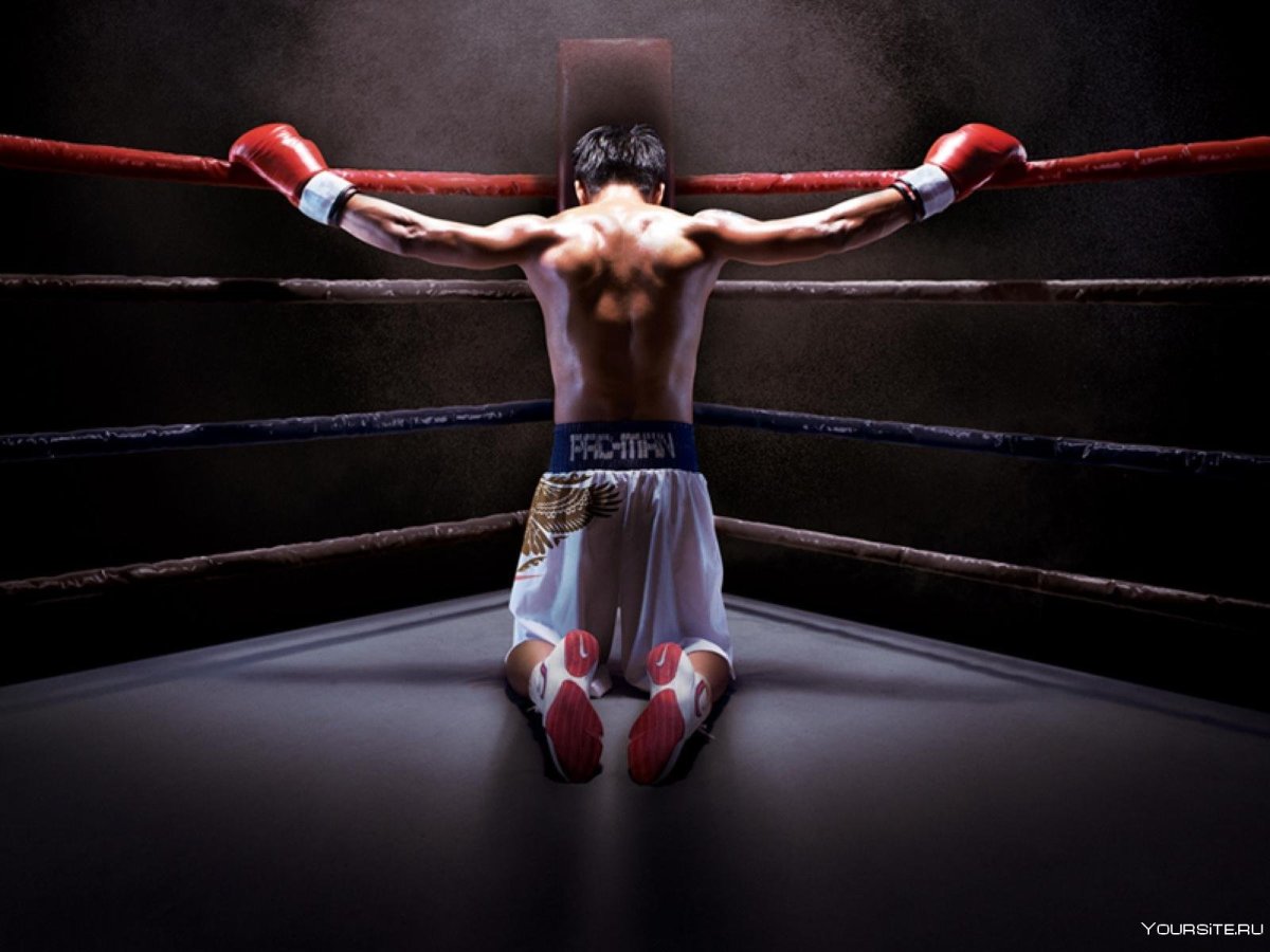 Боксер в бинтах