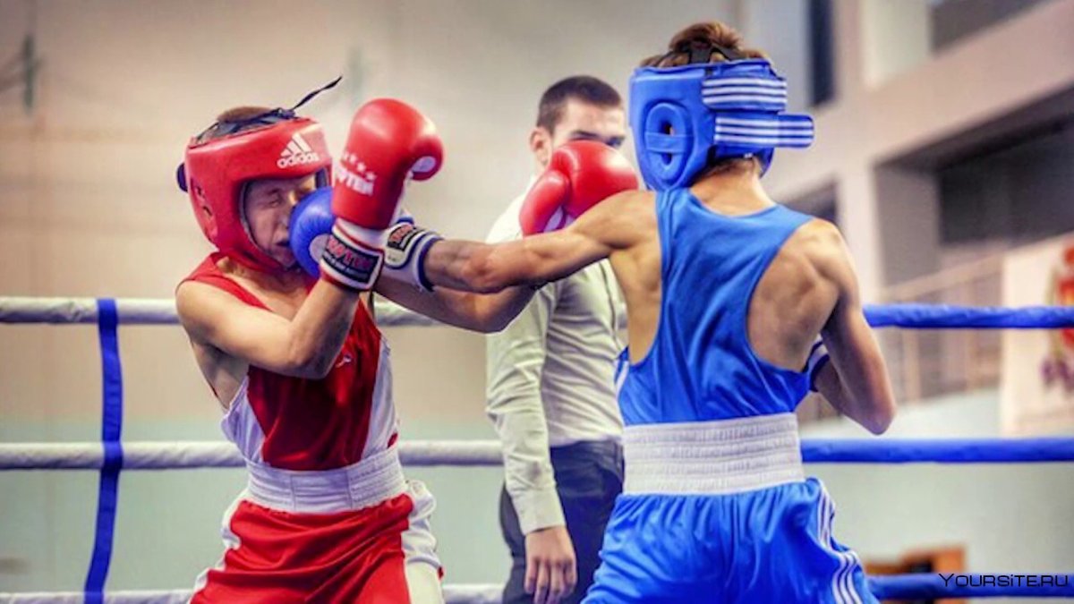 Бокс бой на ринге