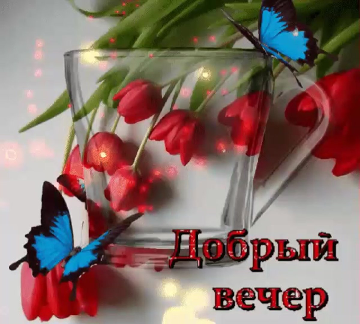 Добрый вечер стильно