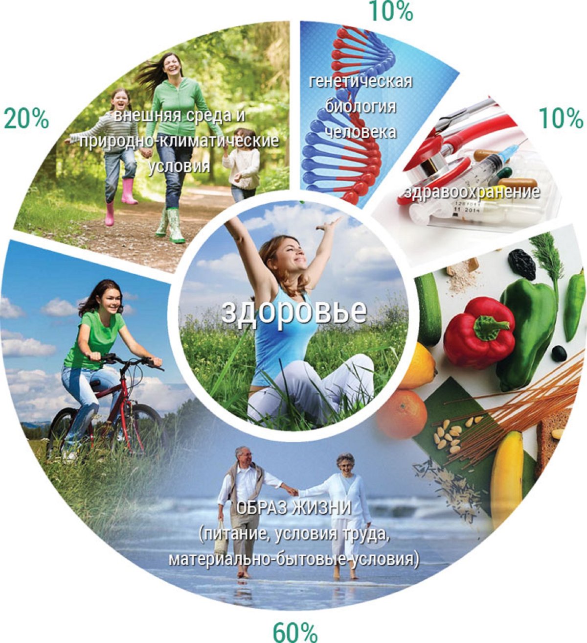 Здоровье и здоровый образ жизни