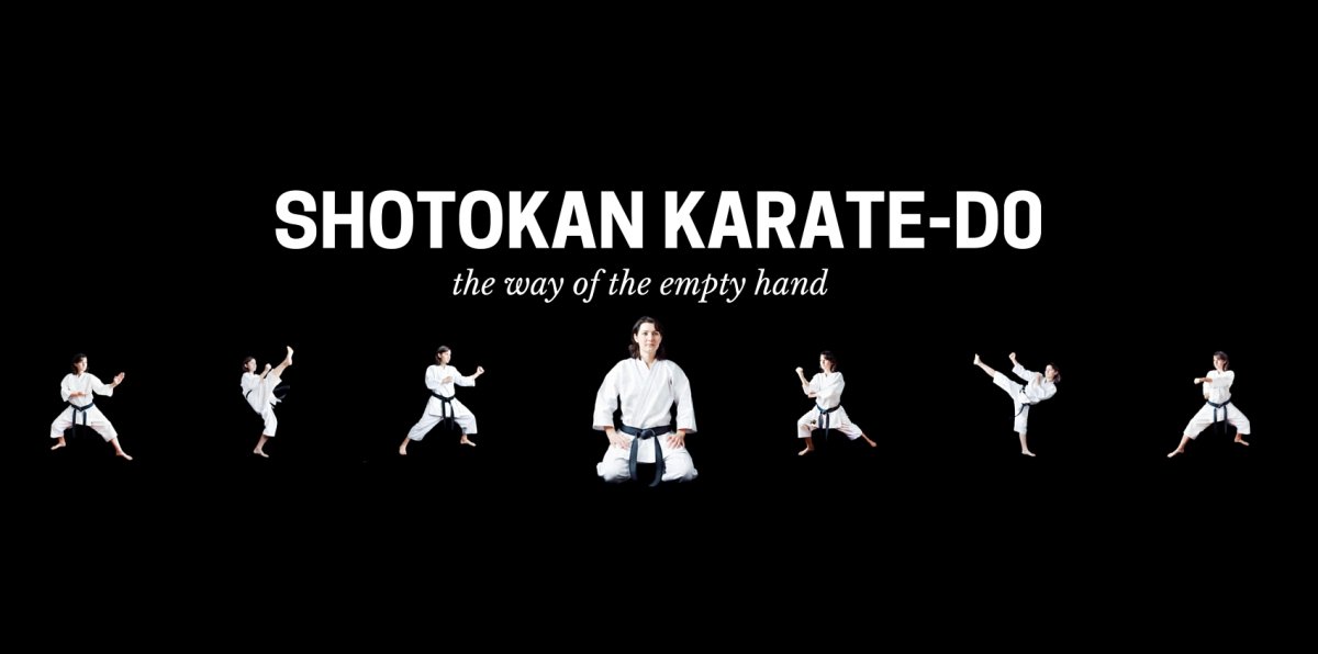 Картинки каратэ Шотокан