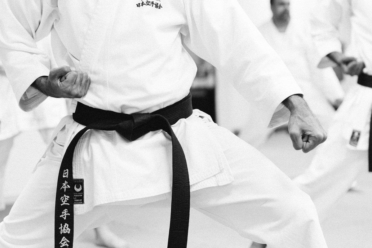 Каратэ сётокан