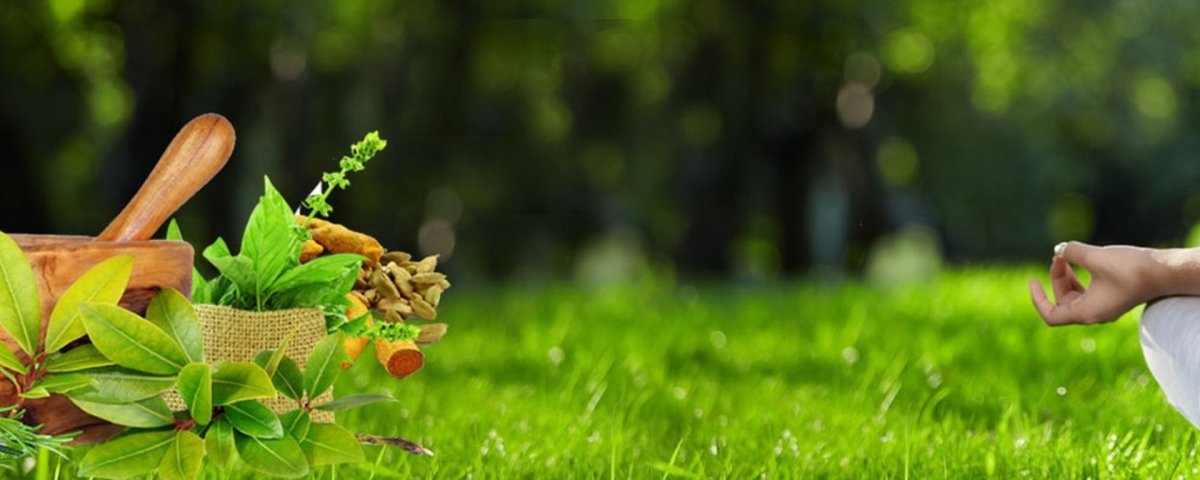 Здоровый образ жизни панорама