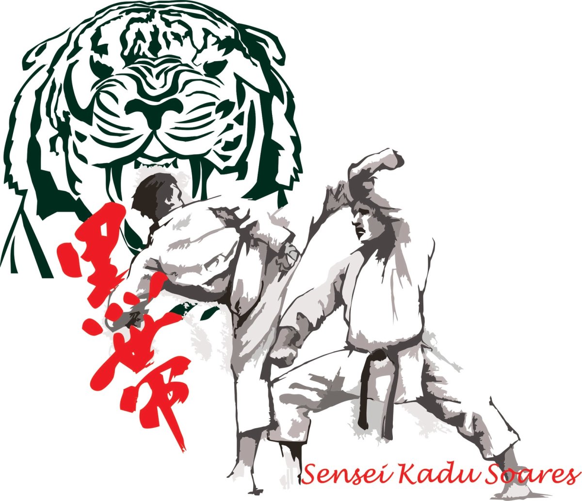 Аниме каратэ Шотокан