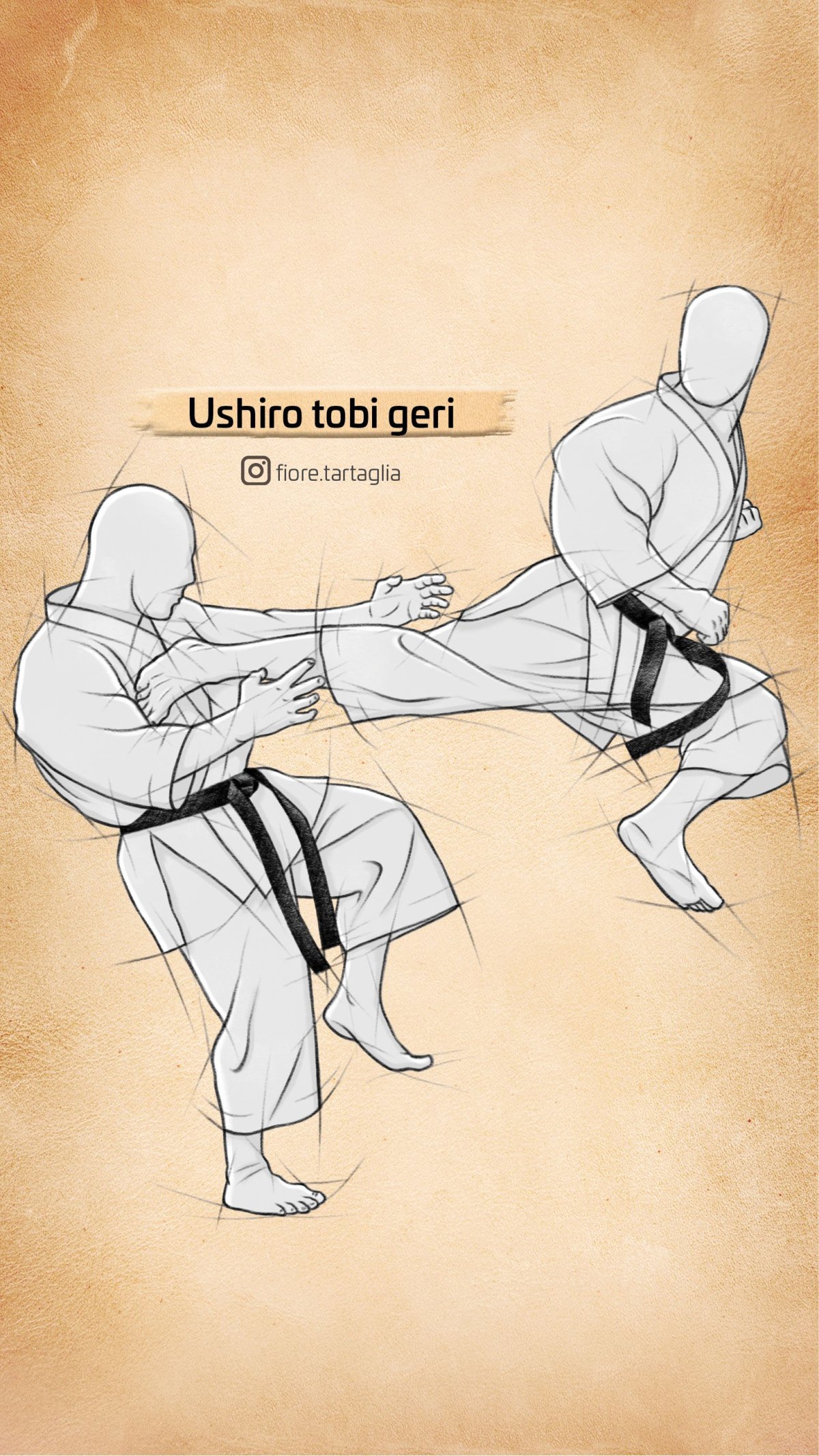 Боевое Шотокан каратэ джитсу