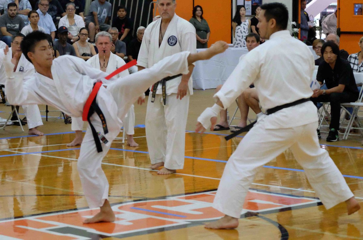 Окинавское каратэ - стиль Шотокан