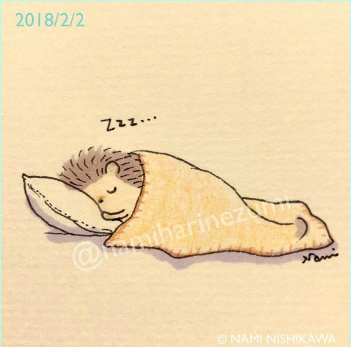 Ежик спит под одеялом