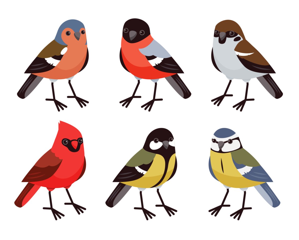 Birds Winter vector