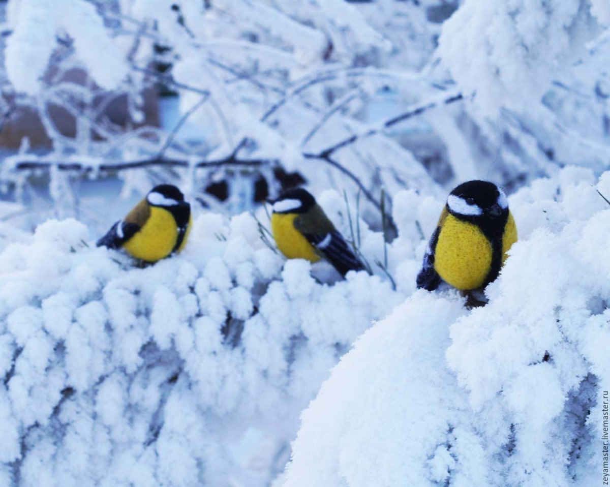 Соляникова Татьяна вышивка гладью