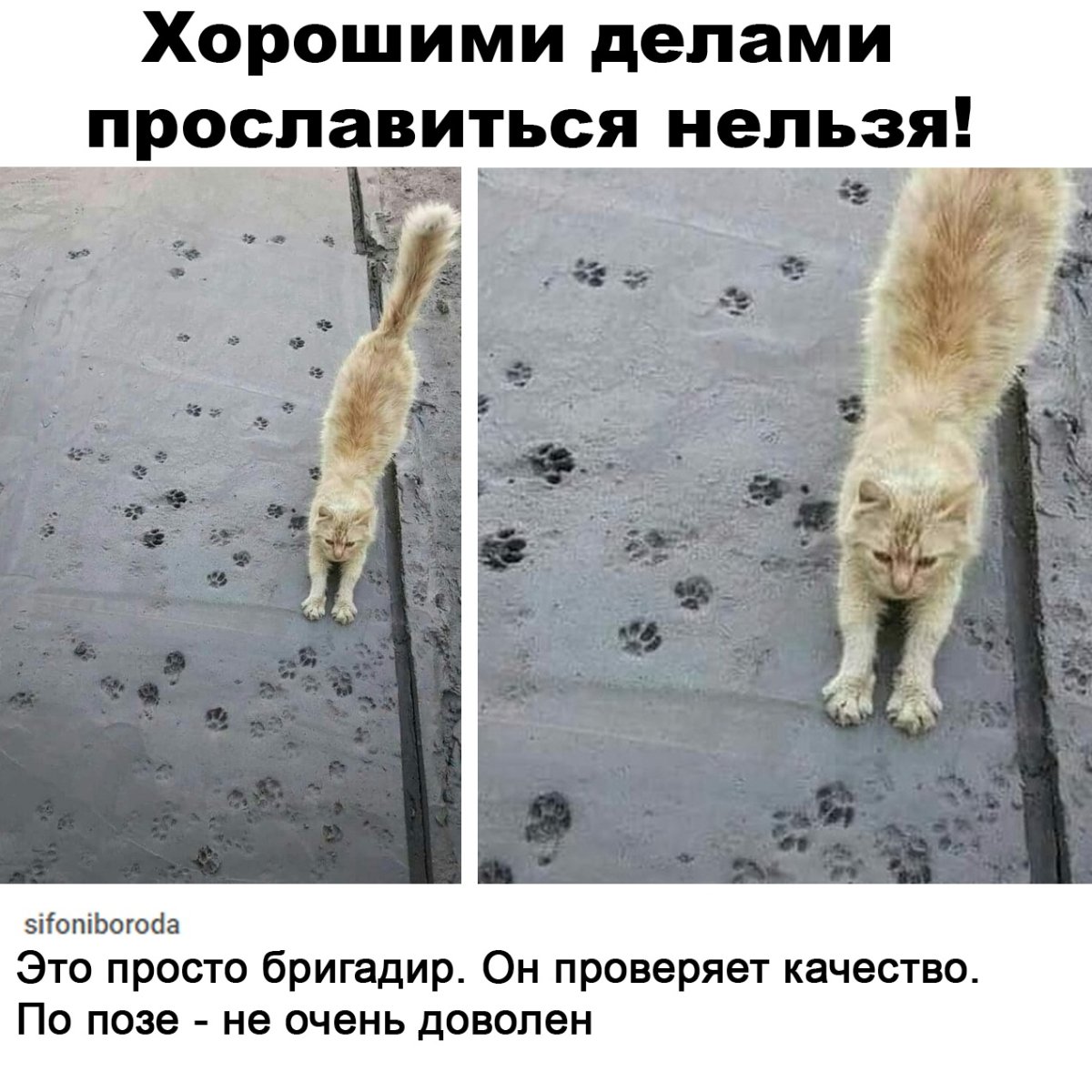 Вечер воскресенья прикольные