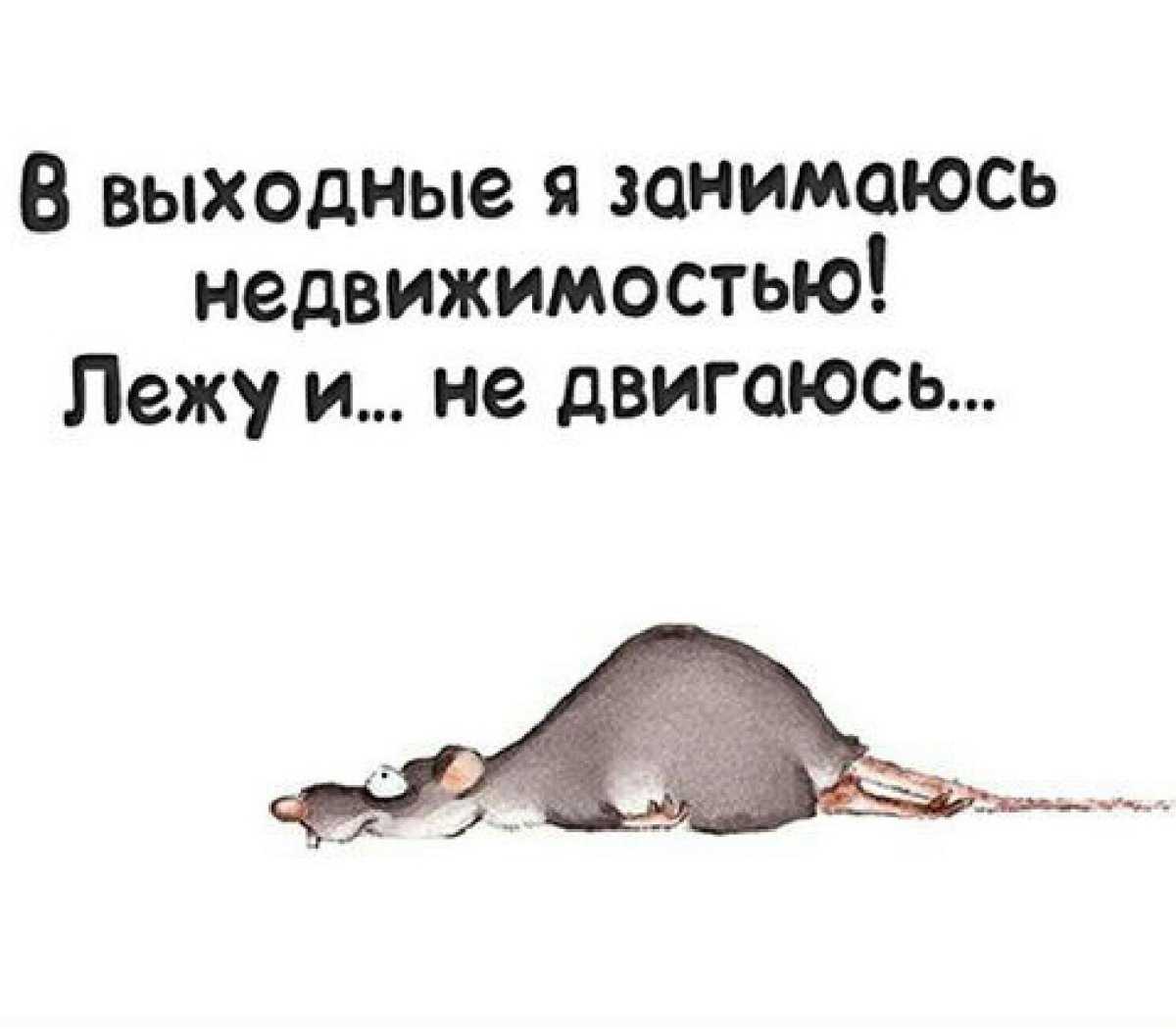 Анекдоты с добрым утром