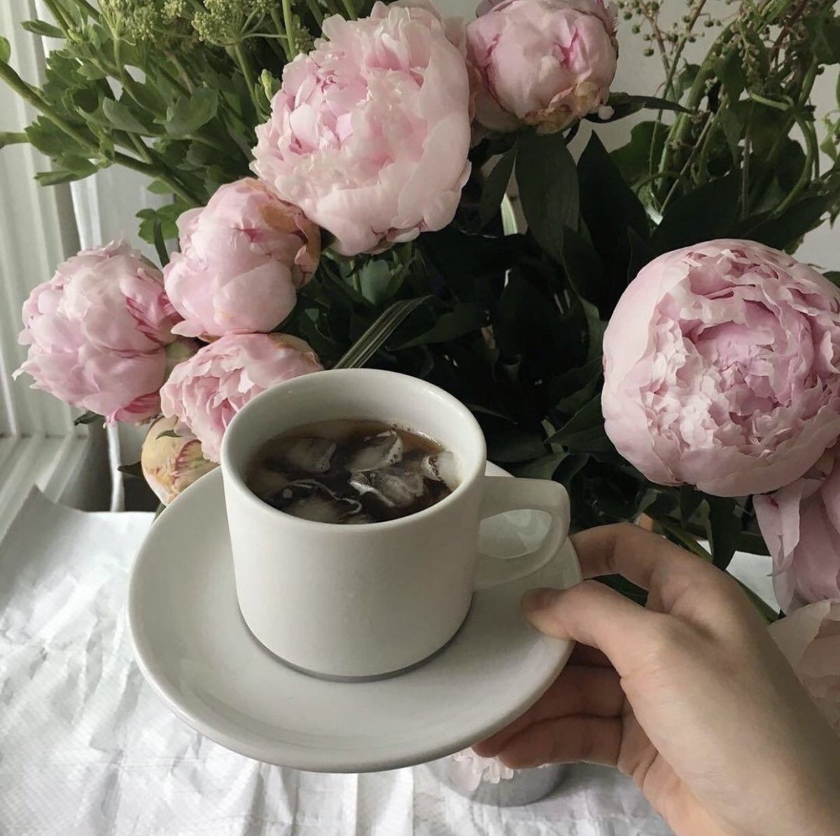 Чайные пионы