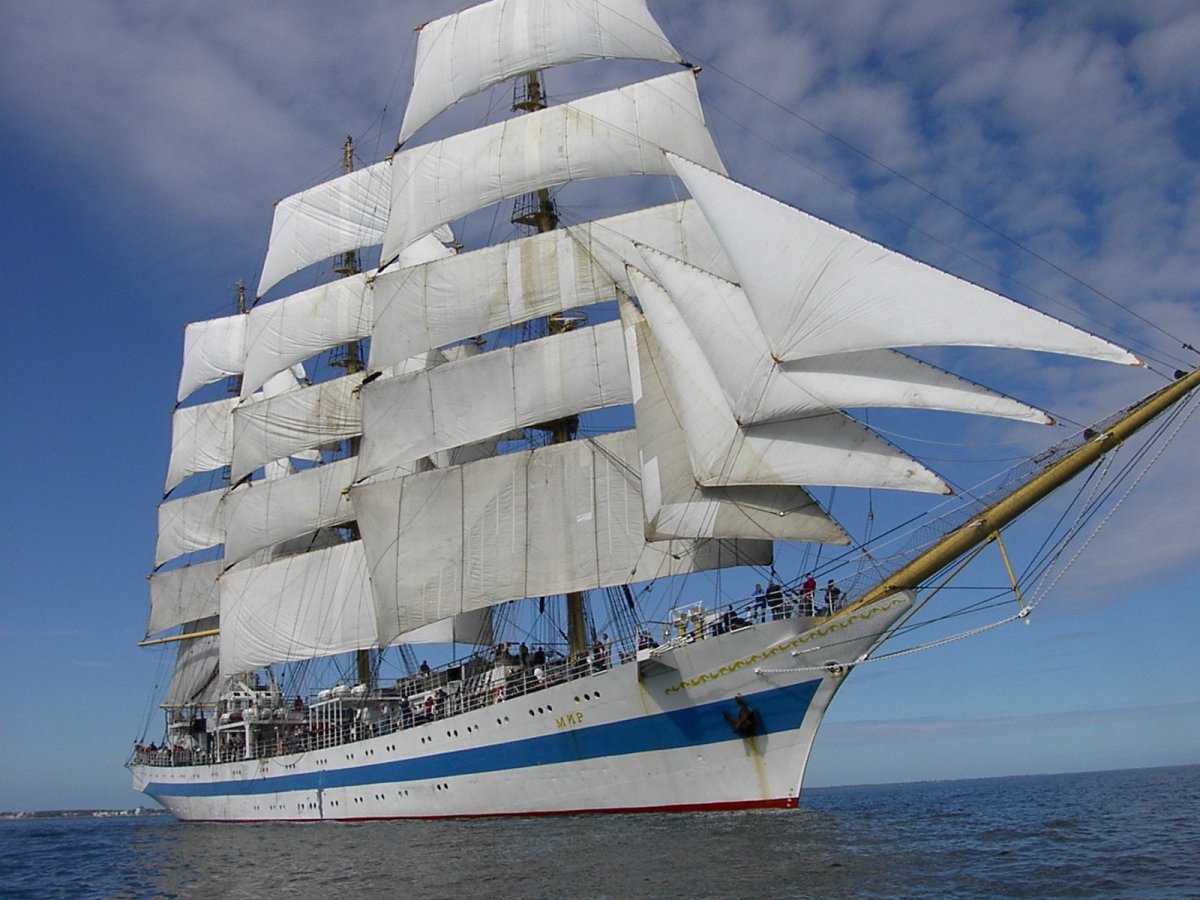 Паллада Гончарова корабль