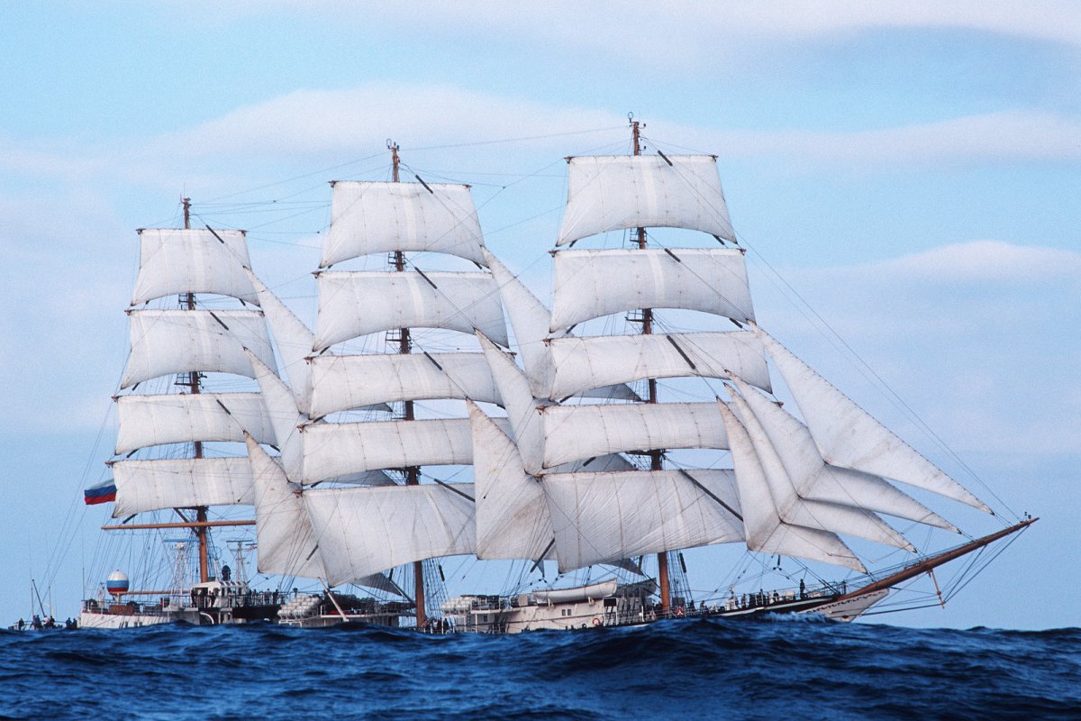 Паллада картины Барк