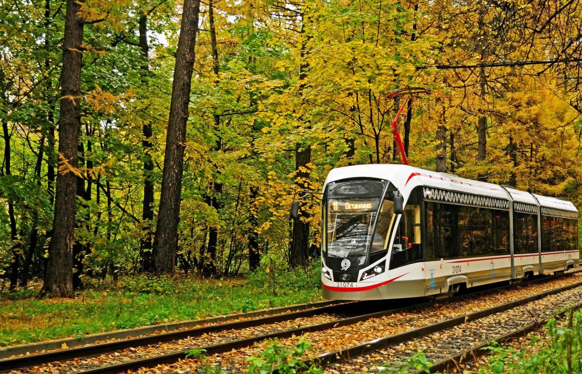 Осенний трамвай