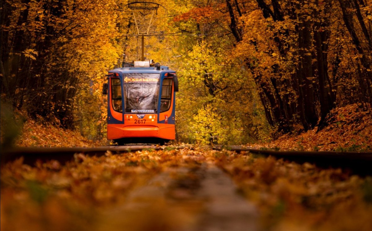 Сокольники трамвай осень