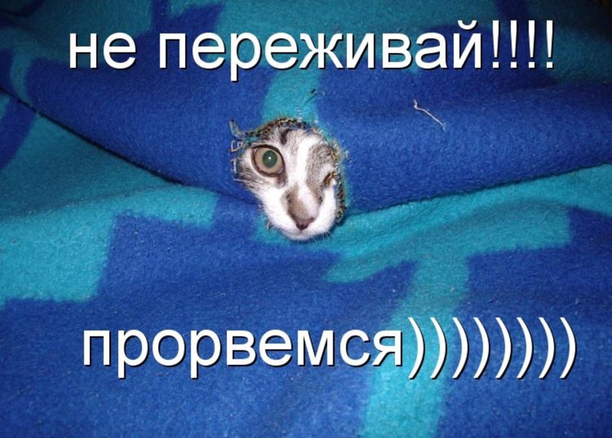 Открытка не переживай