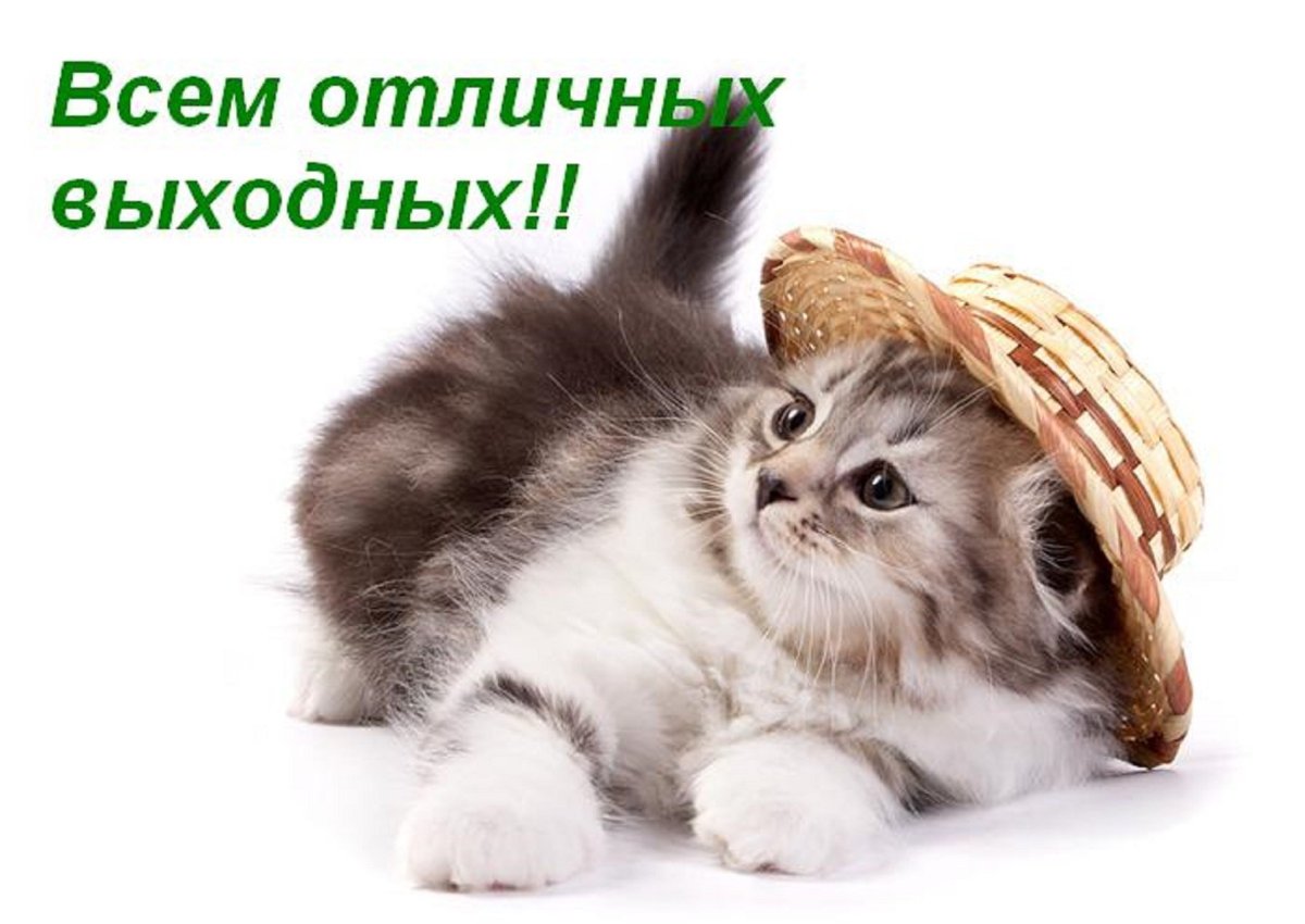 Хороших выходных